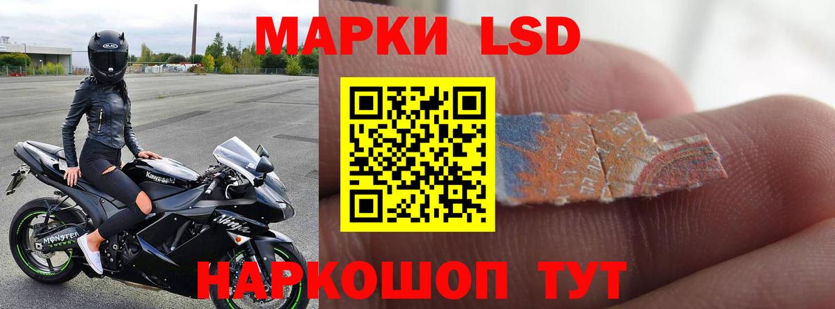 Сальск  LSD-25 экстази ecstasy  Лсд 25 экстази  ЛСД экстази ecstasy  Вход с VPN 