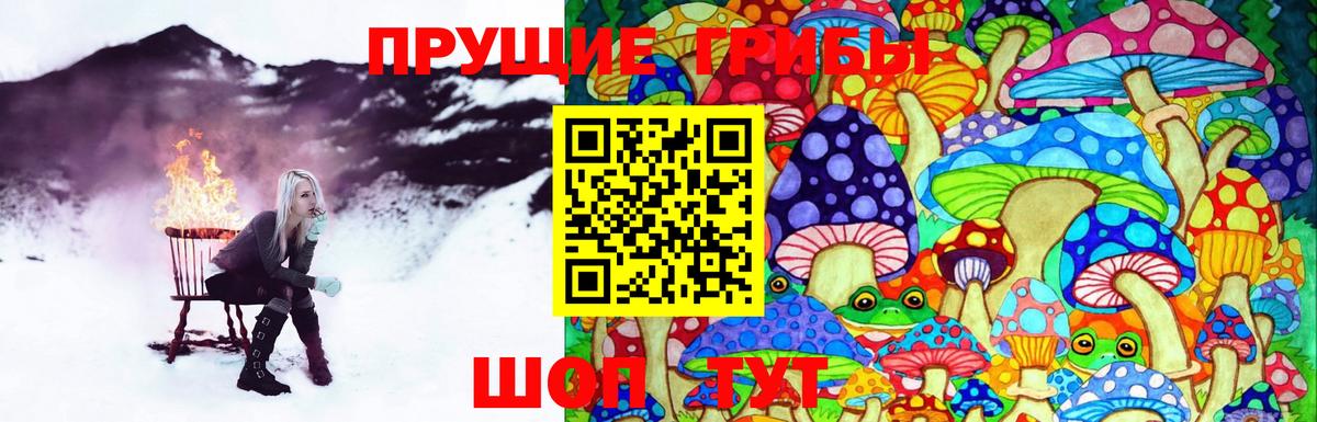 Галлюциногенные грибы Psilocybine cubensis  Псилоцибиновые грибы GOLDEN TEACHER  Сальск  Вход с VPN 