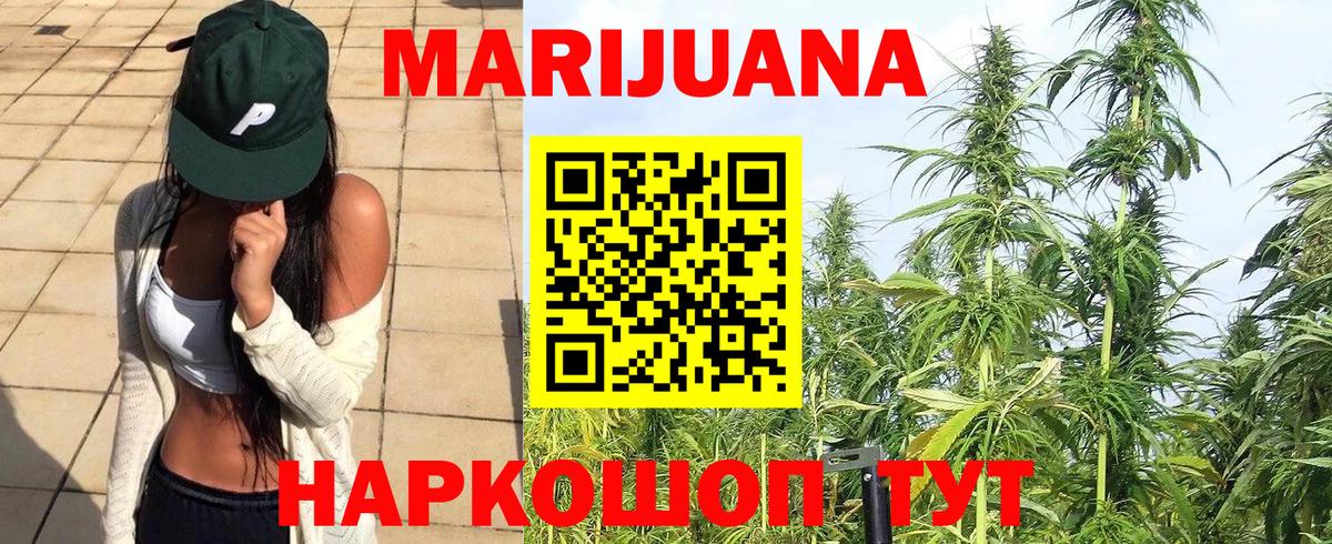 Шишки марихуана Bruce Banner  Вход с VPN  Конопля VHQ  Конопля план  Сальск 